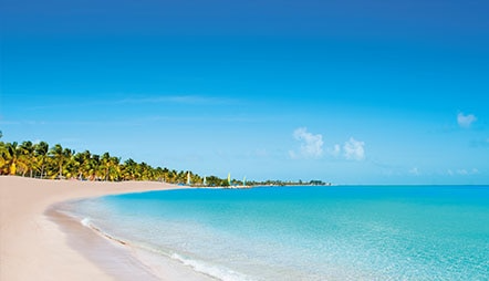 Caribbean Conzumel 442x254
